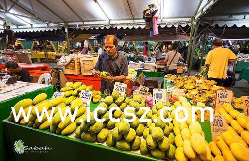 香蕉国产精品,品味家乡的甜蜜诱惑